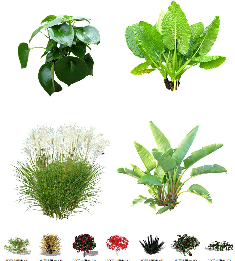 图片[14]-2023园林景观庭院植物花草树木绿篱乔木花卉灌木丛草图大师SU模型-cg男孩