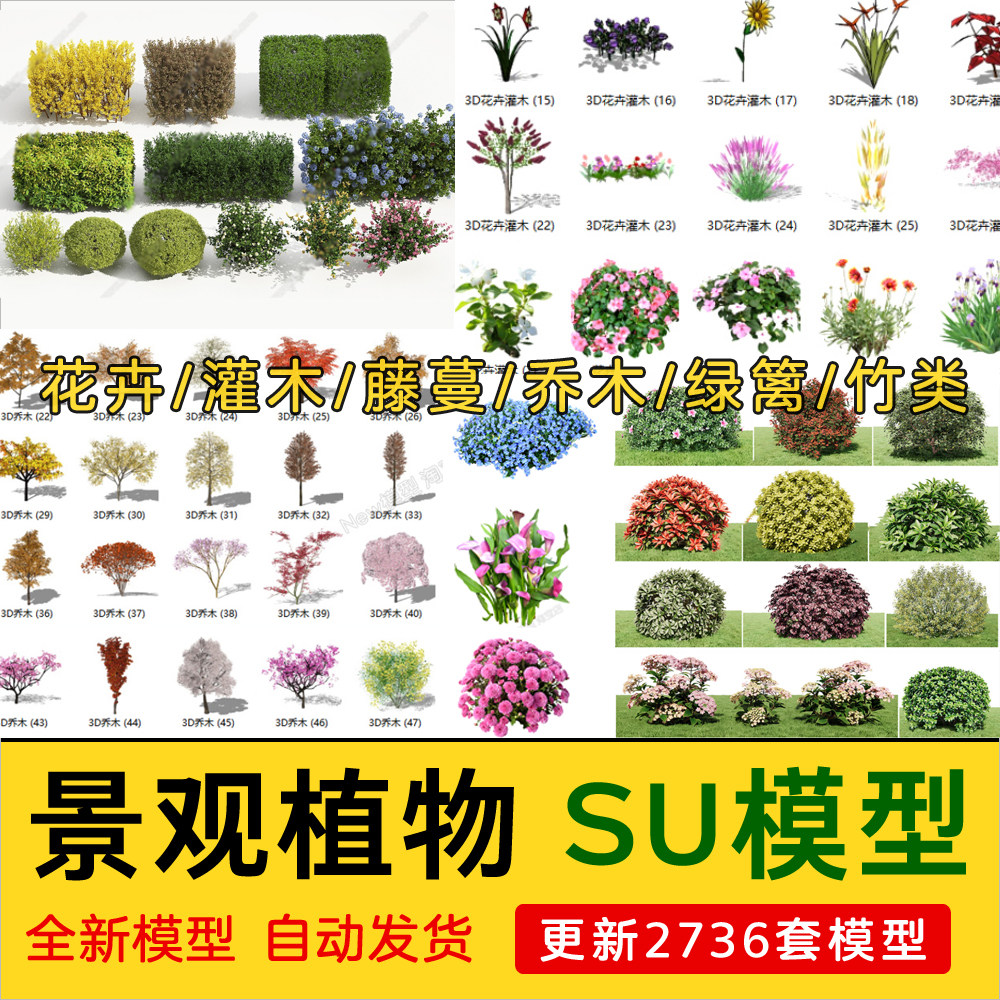 2023园林景观庭院植物花草树木绿篱乔木花卉灌木丛草图大师SU模型-cg男孩