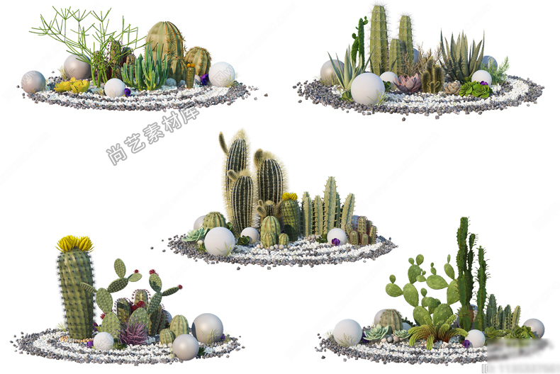 图片[4]-仙人掌仙人球植物堆SU模型热带仙人掌绿植造景多肉植物SU草图大师-cg男孩