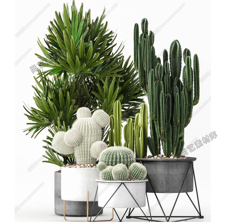 图片[10]-仙人掌仙人球植物堆SU模型热带仙人掌绿植造景多肉植物SU草图大师-cg男孩