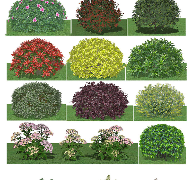 图片[9]-2023园林景观庭院植物花草树木绿篱乔木花卉灌木丛草图大师SU模型-cg男孩