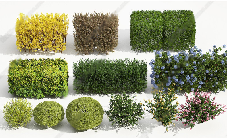 图片[2]-2023园林景观庭院植物花草树木绿篱乔木花卉灌木丛草图大师SU模型-cg男孩