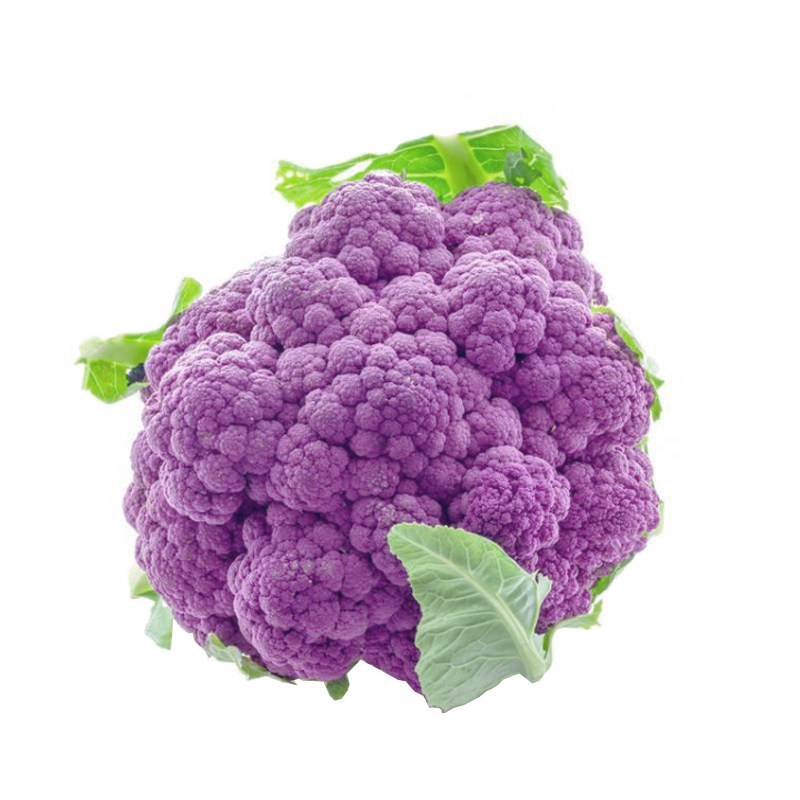 紫色花菜種子紫色花椰菜種籽紫菜花春秋季種植蔬菜種孑農家菜籽種