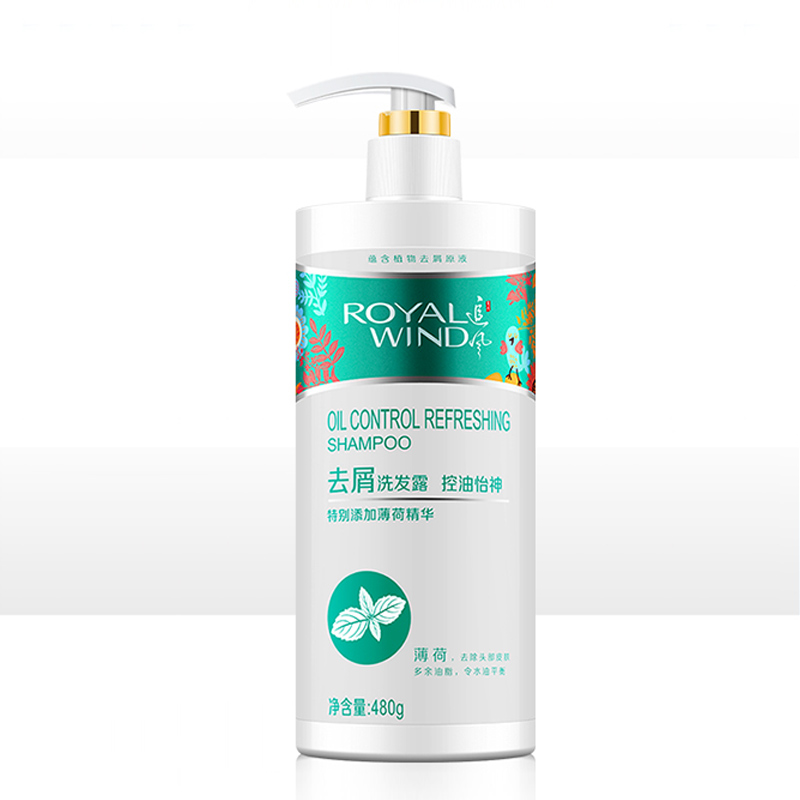 【追风】去屑止痒控油清爽洗发水480ml