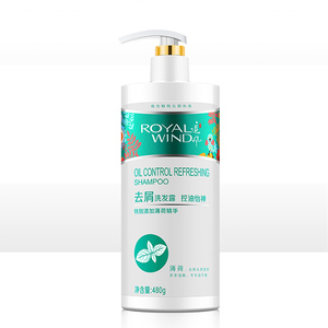 【追风】去屑止痒控油清爽洗发水480ml
