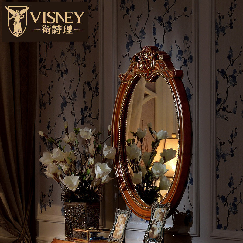 Visney��ױ��ױ̨10047W8