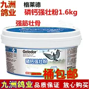 Glad pigeon thuốc phốt pho canxi bột mạnh 1600 gram đua chim bồ câu chim bồ câu thuốc canxi photphat bột vẹt chim canxi bột - Chim & Chăm sóc chim Supplies