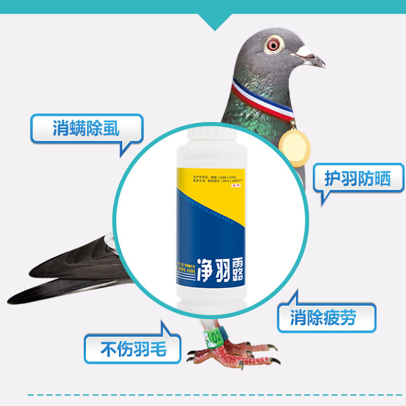 Heart-to-heart pigeon net net dew pigeon pigeon cung cấp đua chim bồ câu vẹt chim in vitro tẩy lông lông chim bồ câu y học Daquan - Chim & Chăm sóc chim Supplies lồng cu gáy