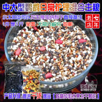 Medium Large Small Sun Golden Sun Monk Sublime Grey Parrot Fodder Eclectic Sunflower Bird Grain 5 Kim