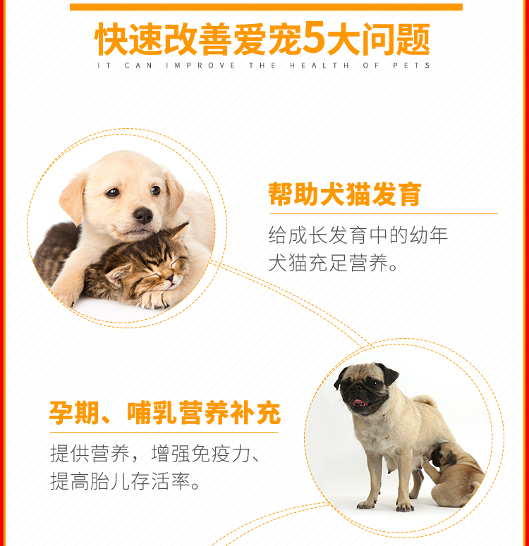 Huilun Bao dog cat kem tổng hợp dinh dưỡng / thú cưng sữa cho chó mèo sơ sinh