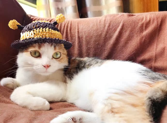 Купить Шапки для собак и кошек мдо летний Китти ручной работы ...