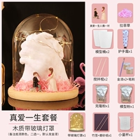 Истинная любовь к пакету жизни