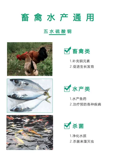 Кормление сульфата меди -Кристаллическая сельскохозяйственная медная медь, медная, марганцевая кормление цинкового корма для водной стерилизации и удаления водорослей