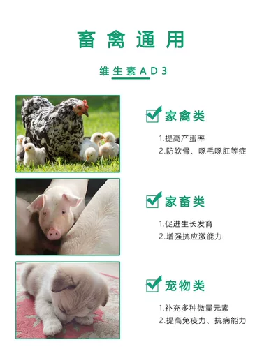 Звери витамина AD3 и птицеводственная птица -паром
