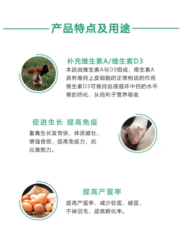 Звери витамина AD3 и птицеводственная птица -паром