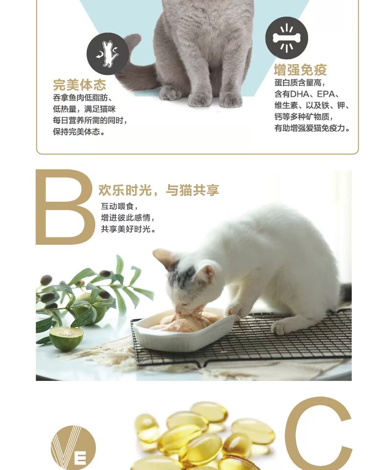Mèo ăn vặt KingKitty thịt mèo khô ăn nhẹ gà nhỏ thịt ức thịt tươi thành một con mèo phổ quát 6 que - Đồ ăn nhẹ cho mèo thức ăn cho mèo royal canin