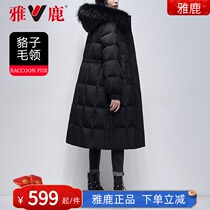 Jadeer closets waist down clothes women 2021 new winter fashion Mao collar thickened black long style big code jacket SX