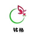 铭杨建材展架的LOGO