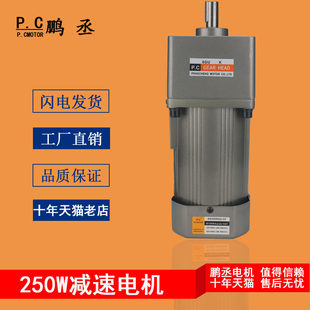 Мотор с шестернями, редуктор, 220v, 250W