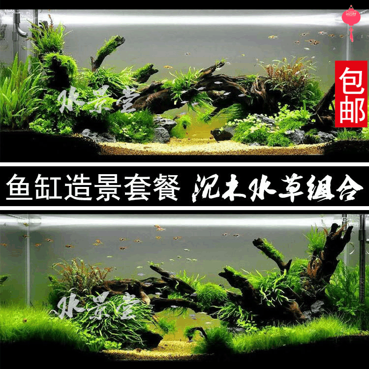沉木造景套餐 水草缸 水草沙 水草土 小鱼水草 满天星水草 水溶水