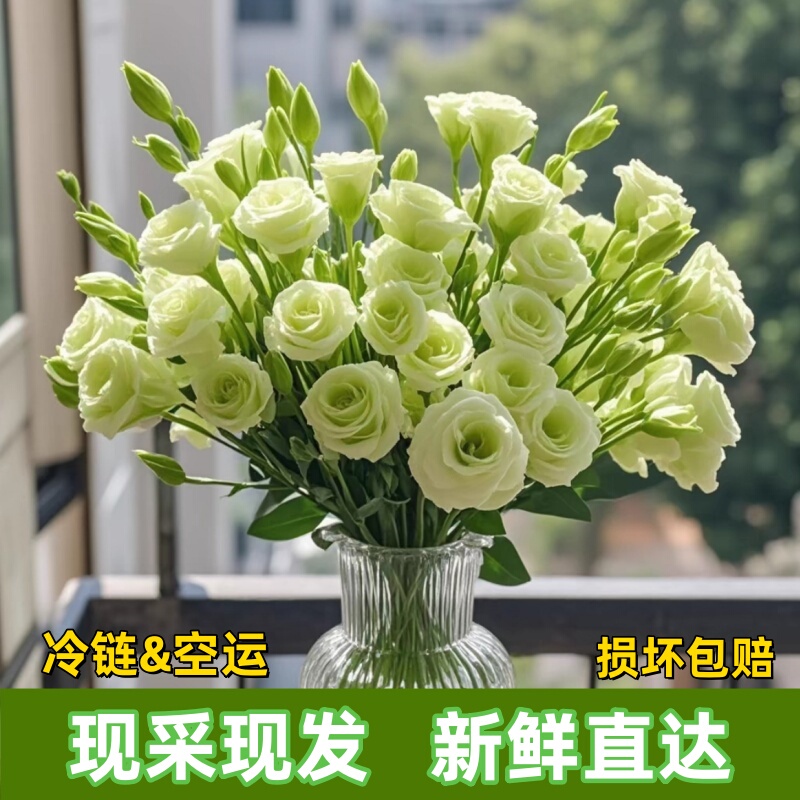 Eustoma Flowers Fresh Cut from Kunming, Direct Delivery, Water-Cultivated, Festival-Ready, Fresh Cut Flowers from Yunnan Base, Hydroponic Bouquet