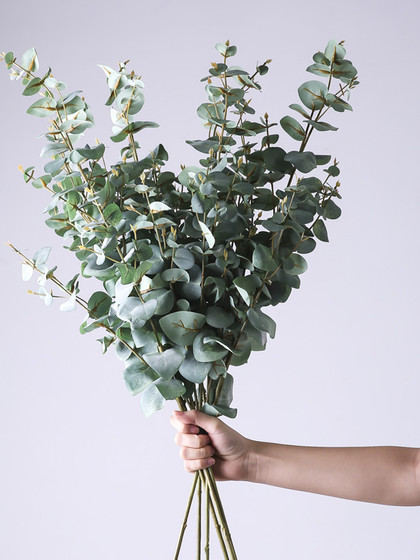 Fresh Flowers, Grasses, Small Ornamental Grasses, Fountain Grass, Nine-Star Leaves, Green Bell Flowers, Canary Yellow Leaves, Tail Leaves for Weddings, Birthday Parties, Yunnan Base