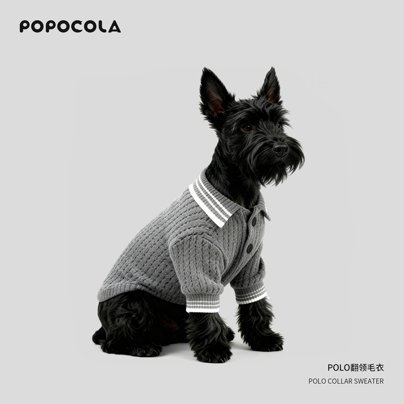 Puppy Sweater Autumn and Winter Polo Shirt Schnauzer Teddy Bichon Small Dog Winter Pet Clothing Puppy Sweater Autumn and Winter Polo Shirt Schnauzer Teddy Bichon Small Dog Winter Pet Clothing