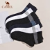 CAMEL tất nam lạc đà 6 đôi tất nam ống bông cotton vớ nam thoáng khí thể thao tất mỏng - Vớ thể thao