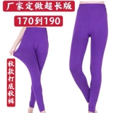 Расширить высокие хлопковые осенние брюки.