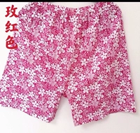 Роза красная