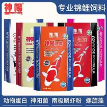 Shenyang koi feed bright red silk Kang super energy to enhance the body germ Caikang bred into 2KG large medium and small (original)