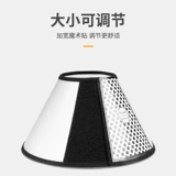 Элизабет Кружная собака и Кошка сражается с домашними животными, домашние животные мягкая шея рука