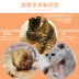 Mèo cấm bột nữ mèo nam mèo bột senile ức chế mèo động dục chó cung cấp chống mèo đặc biệt bột chống giác quan - Cat / Dog Health bổ sung