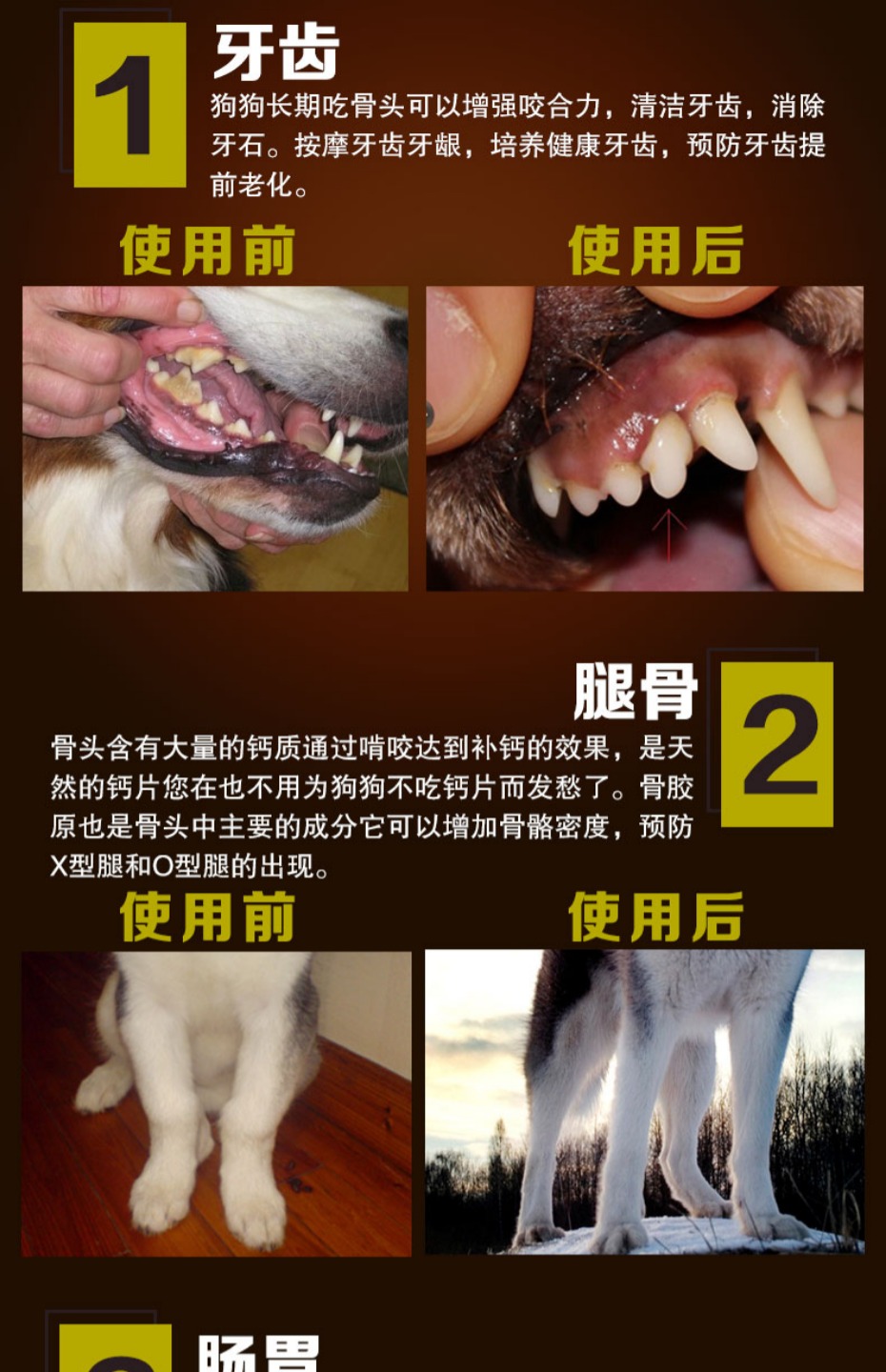 Mạnh mẽ xương bò gia súc chó chó mol răng lớn xương 200g cắn chó lớn Samoyed Vàng lông bò xương - Đồ ăn vặt cho chó bánh dành cho chó