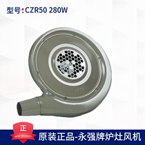 Yongqiang brand CZR50 280W220V hotel kitchen stove blower cooking stove medium pressure fan