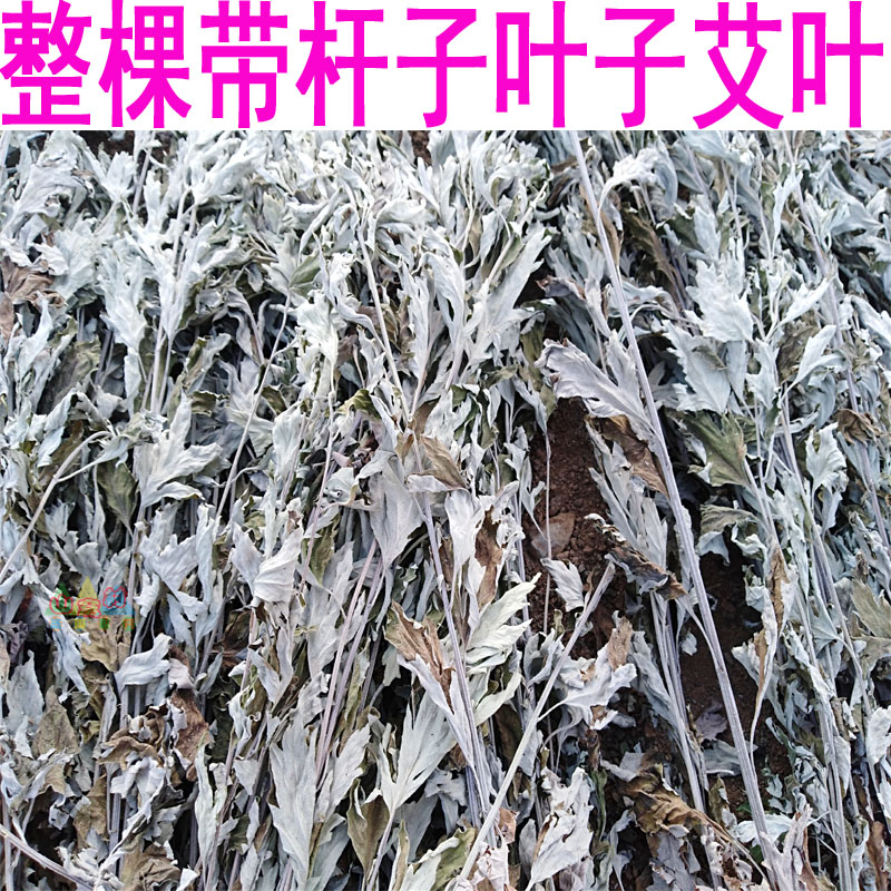 Wild whole wormwood whole wormwood mosquito repellent wormwood leaf baby bath and feet to go to the whole mugwort