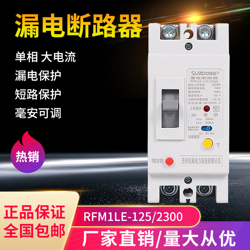 2P plastic shell leakage circuit breaker single phase 80A100a 125A160 amp with leakage protection circuit breaker 220V