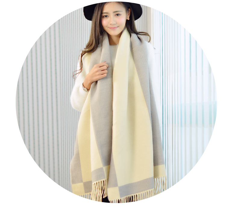 Foulard pour Femme en Cachemire - Ref 3157919 Image 22