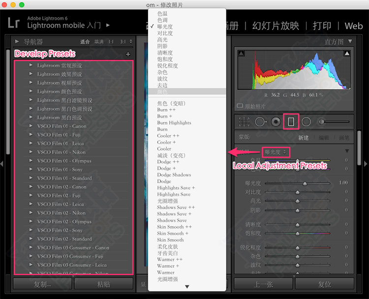 VSCO Film LUTS 电影胶片文艺非主流小清新视频调色预设 共8套                     达芬奇/AE/PR/PS/Vegas/VSCO Film LUTS电影胶片预设全8套/1018种