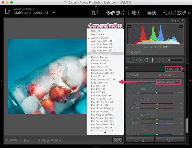 VSCO Film LUTS 电影胶片文艺非主流小清新视频调色预设 共8套                     达芬奇/AE/PR/PS/Vegas/VSCO Film LUTS电影胶片预设全8套/1018种