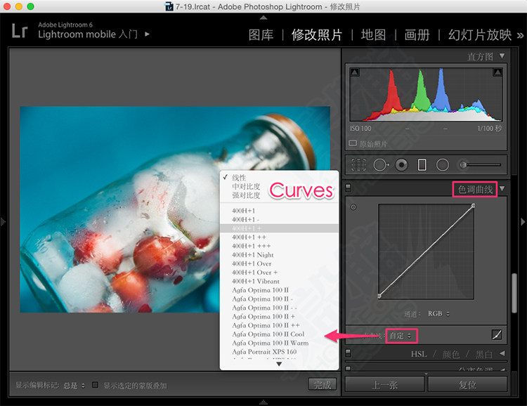 VSCO Film LUTS 电影胶片文艺非主流小清新视频调色预设 共8套                     达芬奇/AE/PR/PS/Vegas/VSCO Film LUTS电影胶片预设全8套/1018种