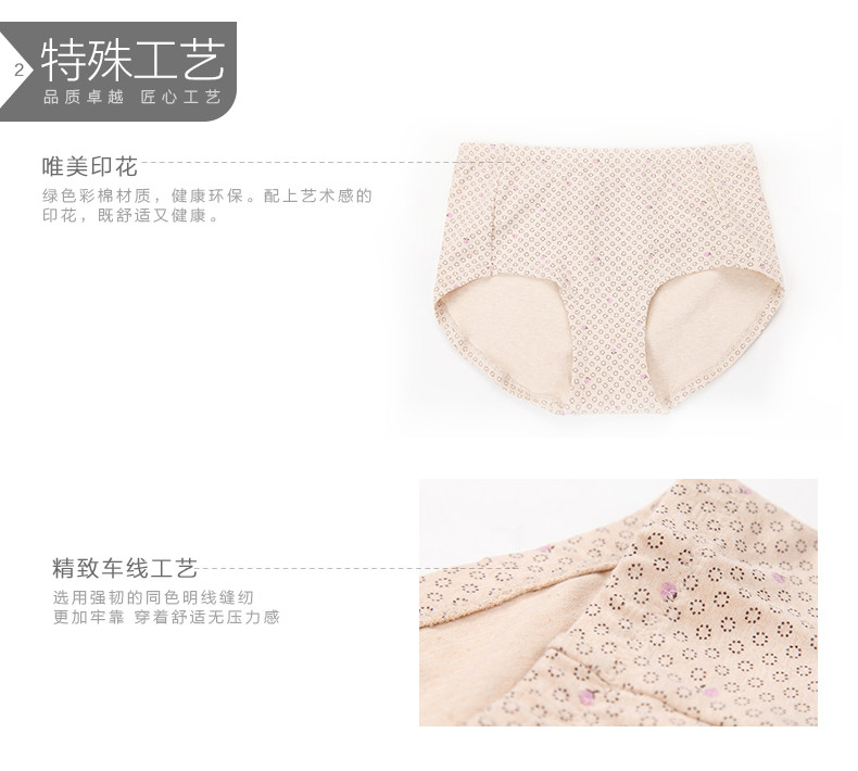 Slip jeunesse DNKWC-T6404-4 en coton - Ref 641955 Image 12