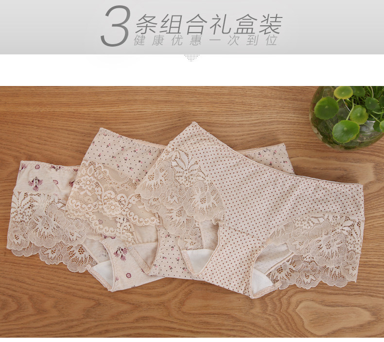 Slip jeunesse DNKWC-T6402-3 en coton - Ref 642177 Image 26