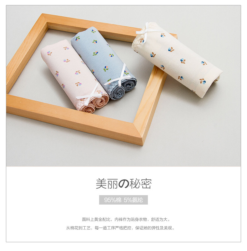 Slip jeunesse DNKWC-T6426-3 en coton - Ref 641821 Image 6