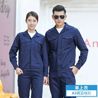 Тибетский синий нажмите на вершину вывода