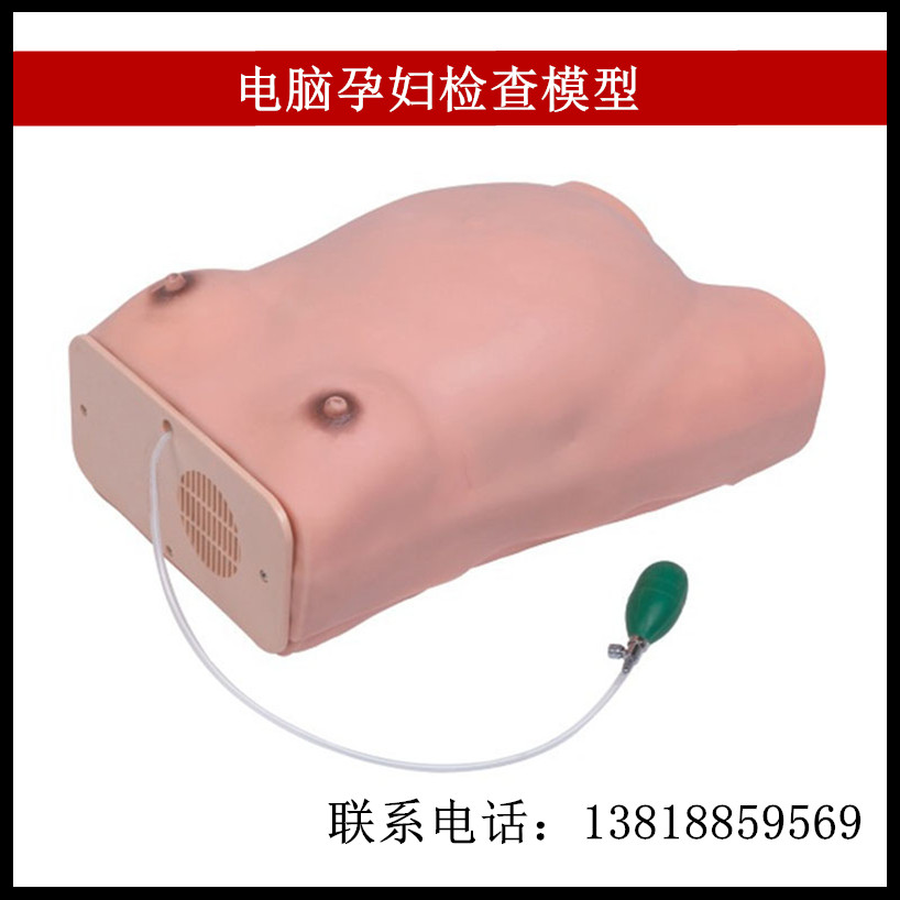 孕妇检查模型 腹部触诊 产前检查妇产科训练模型