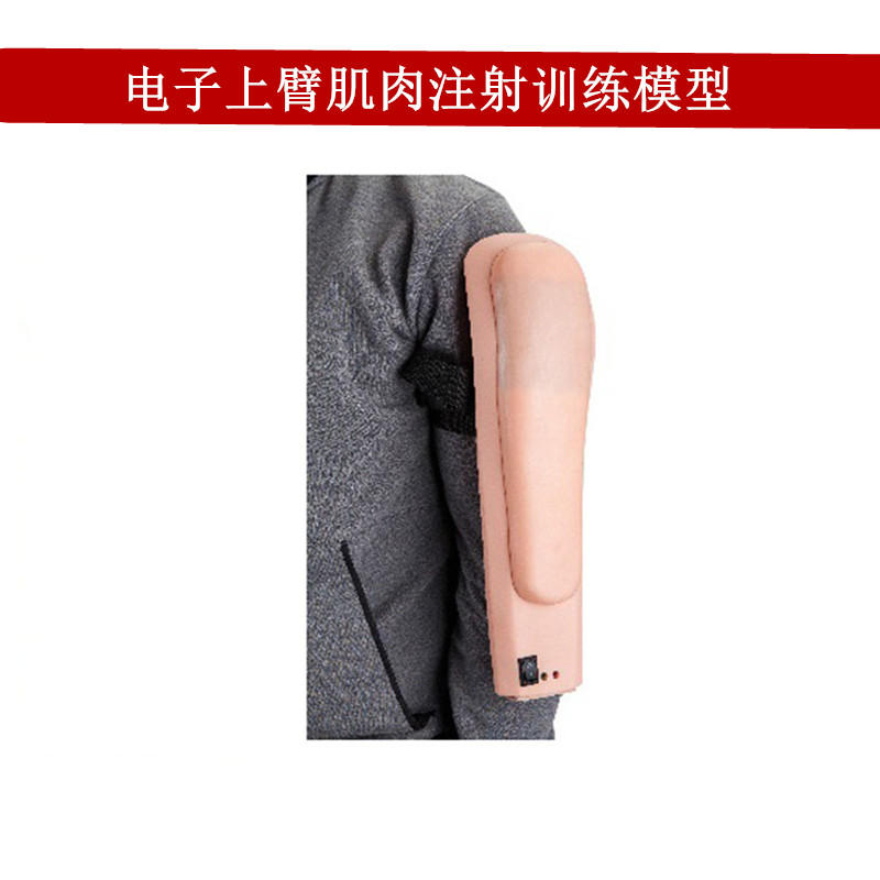 优质电子上臂肌肉注射训练模型模拟成人肩膀上肢结构