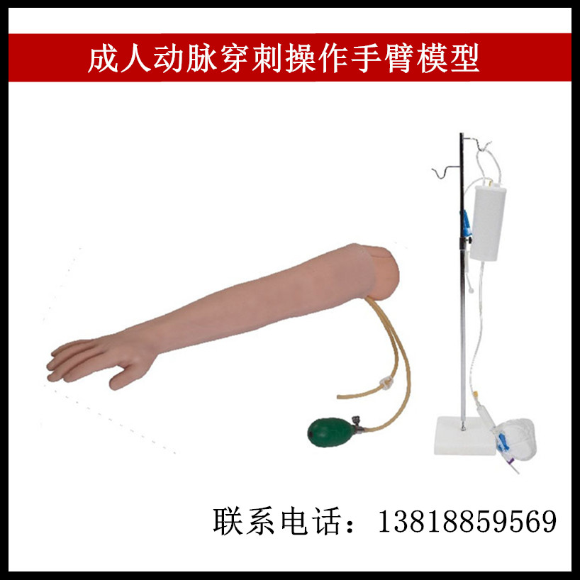 成人动脉穿刺操作手臂模型