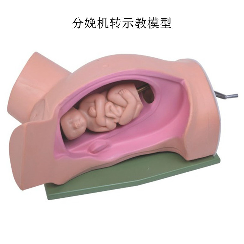 高级分娩机转示教模型妇幼产科胎儿接生助产演示过程难产护理模具
