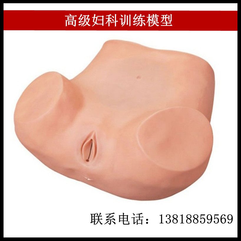 妇科检查训练模型 示教异常子宫触诊 附件模型 腹腔 盆腔教学模具
